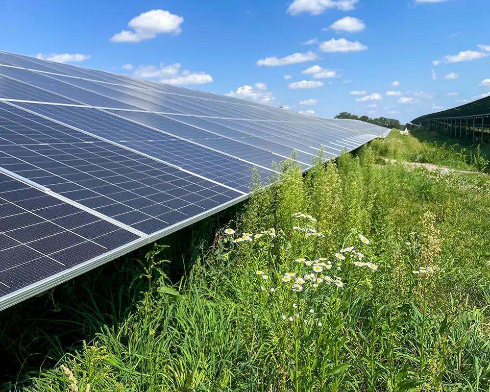 Solarserver Solarpark in Fürth